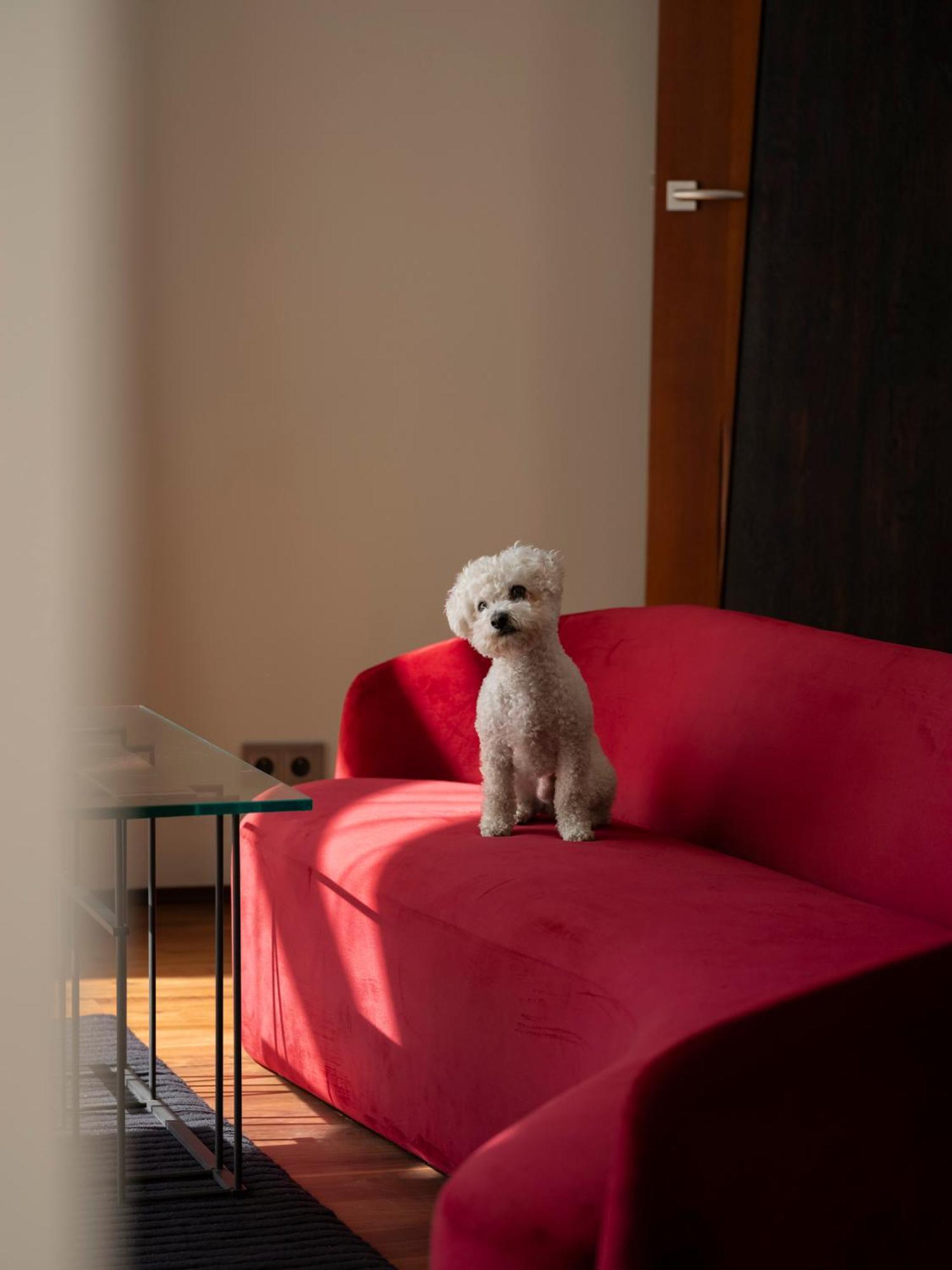 Hotel Monopol Wroclaw Luaran gambar A Bolognese